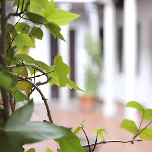 Apartamento Adanar-las Columnas, Granada